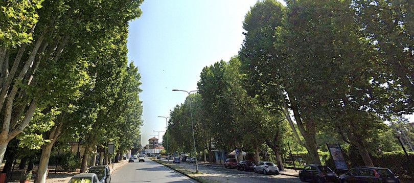 Migliorare l'ambiente? Implementare la diffusione del verde pubblico e privato, utilizzando anche gli alberi antismog